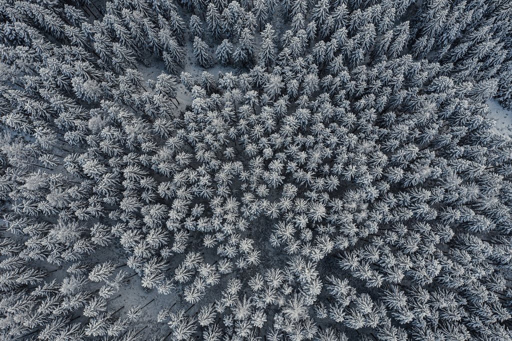Drone-Wald-Winter.jpg